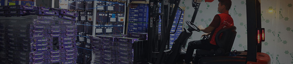 冷庫生鮮倉儲(chǔ)